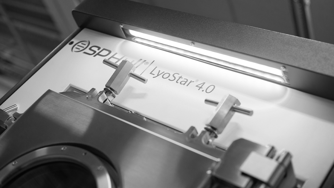 Gilyos-Service-06-Grey